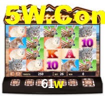 61w,61w.com